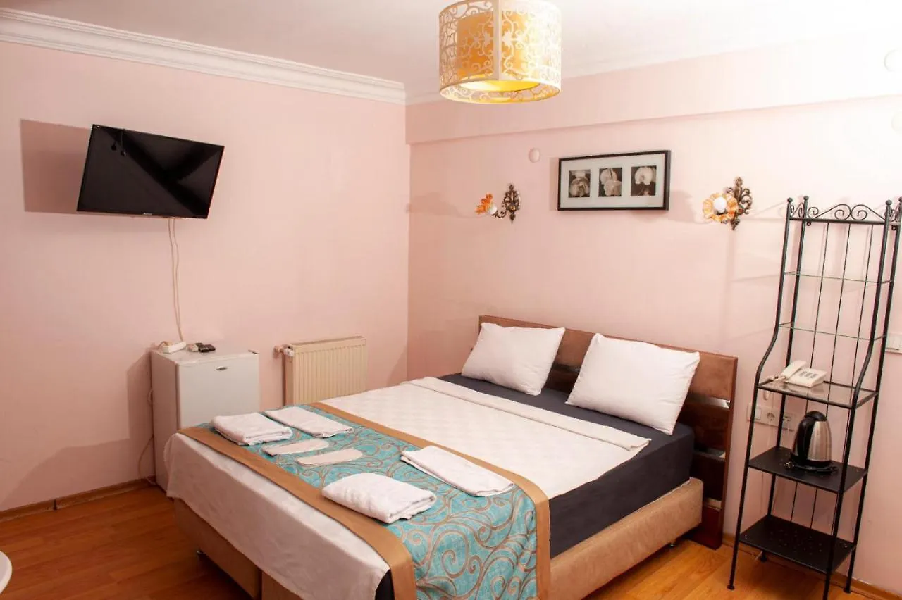 Yesim Suit Apart 1E Istanbul Apartment